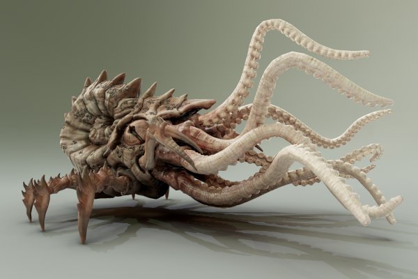 Craken14 at