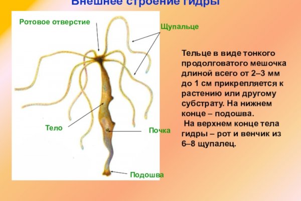 Kraken официальные зеркала
