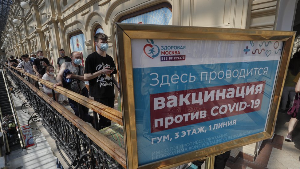 Актуальное зеркало на кракен
